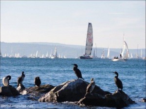 ©101010 (1) Triest - Barcolana Regatta