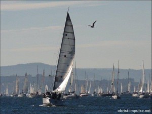 ©101010 (4) Triest - Barcolana Regatta