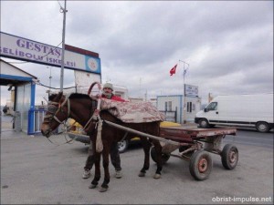 ©110215 (1) Der fröhliche Hasan bringt uns einige türkische Wörter bei